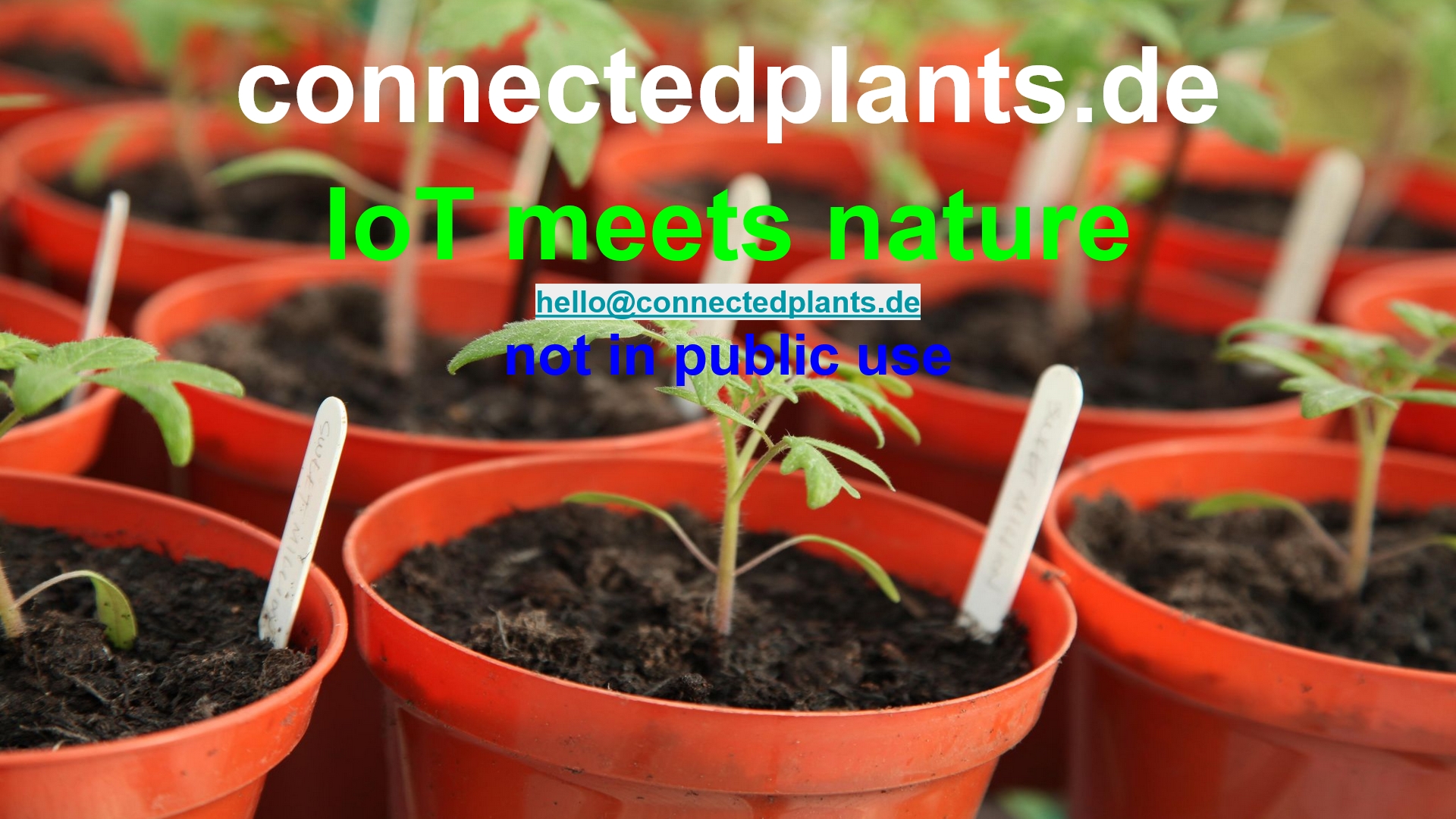 www.connectedplants.de